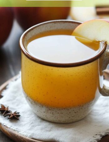 Apple Cider Hot Toddy Recipe