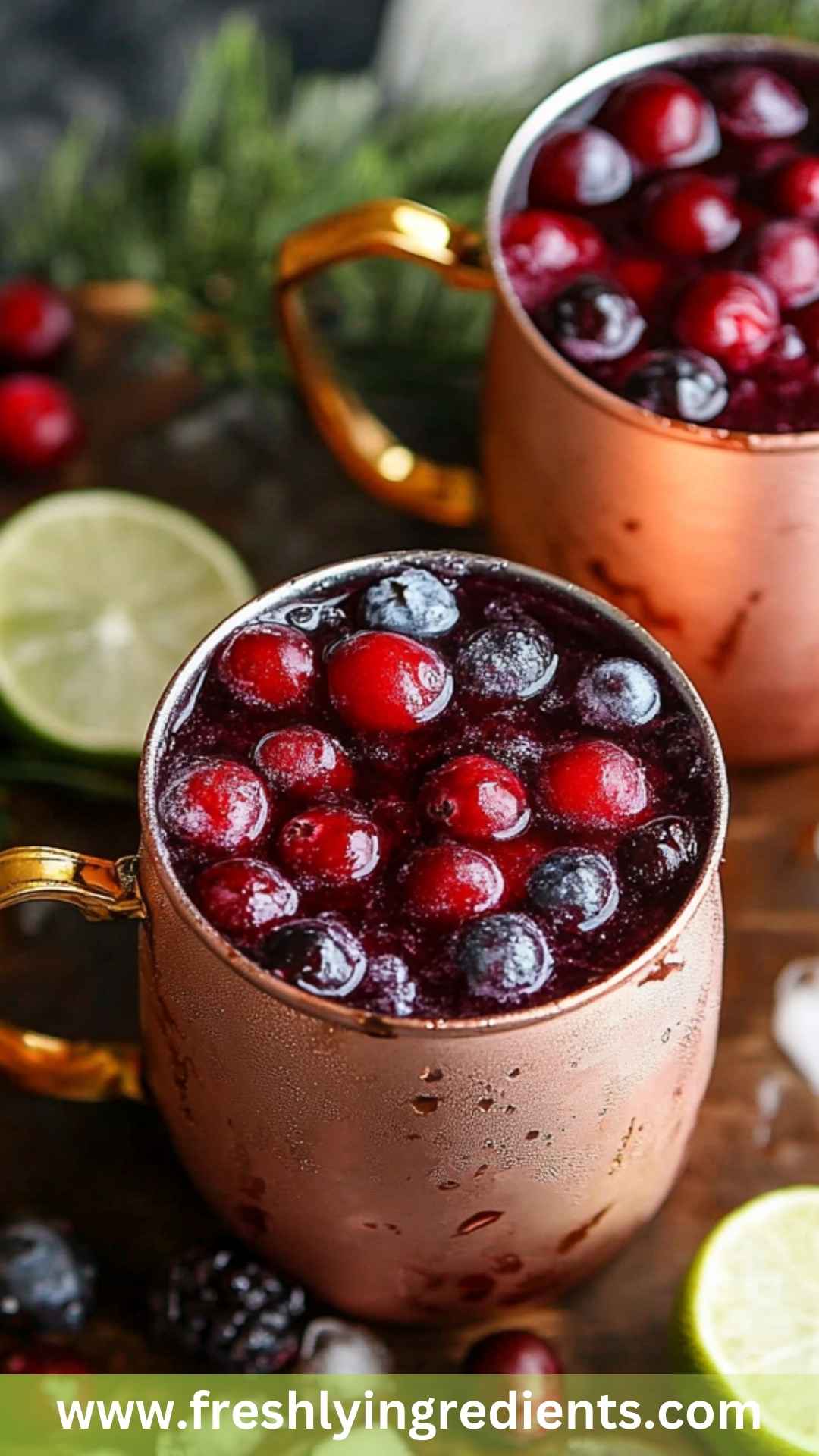 Best Cranberry Moscow Mule Recipe