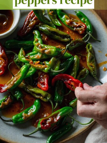 Blistered shishito peppers recipe