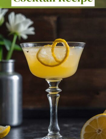Bees Knees Cocktail Recipe