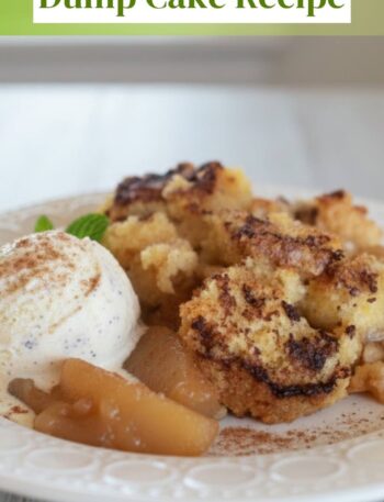 Best Slow Cooker Dump Cake Recipe