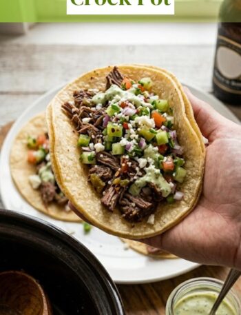 Carne Asada Recipe Crock Pot - Freshly Ingredients 3 Carne Asada Recipe Crock Pot