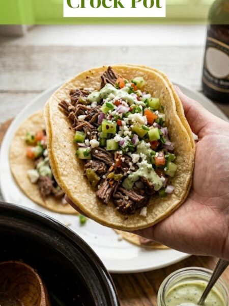 Carne Asada Recipe Crock Pot